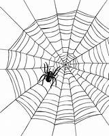 Spiderweb Coloring sketch template