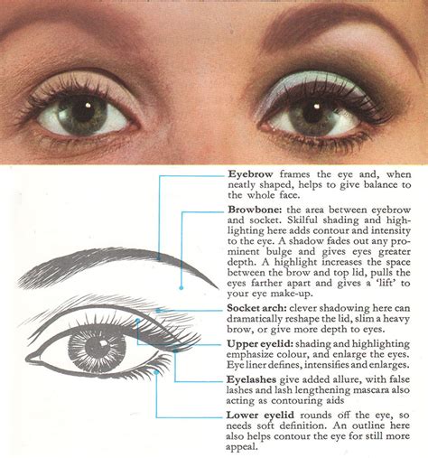 apply  eye makeup tutorial  glamour daze
