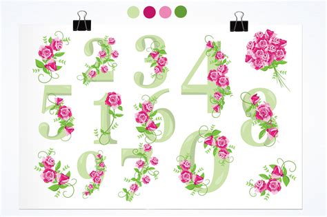 floral numbers graphic  prettygrafik creative fabrica