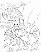 Coloring Rattlesnake Diamondback Getdrawings Getcolorings sketch template