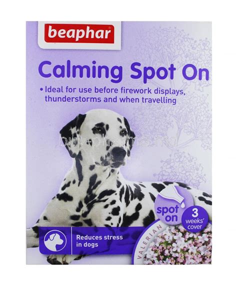 buy beaphar calming spot   dogs  cats