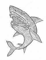 Shark Coloring Pages Adults Print Downloaded Printed Collection sketch template