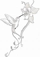 Hummingbird Drawings Humming Hummingbirds Colibri Birds Flores Somasekhar Posted 2313 Sanat sketch template