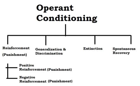 operant theory operant conditioning essay