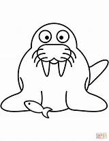 Walrus Coloring Pages Cartoon Drawing Printable Outline Getdrawings Kids Dot Template Clipart sketch template