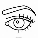 Ojo Colorare Latisse Occhio Disegni Eyelash Brow Ultracoloringpages Pinclipart Pngfind sketch template