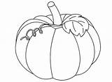 Pumpkin Coloring Pages Printable Leaves Squash Print Color Drawing Outline Vine Line Pumpkins Fall Patch Leaf Coloringpage Drawings Blank Christian sketch template
