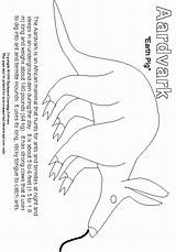 Aardvark Estimate Subscribers 3rd 2nd Grade Level sketch template