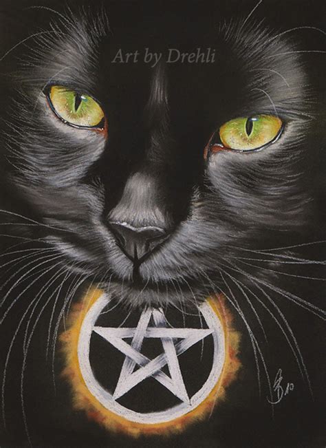 Witch Cat By Drehli On Deviantart