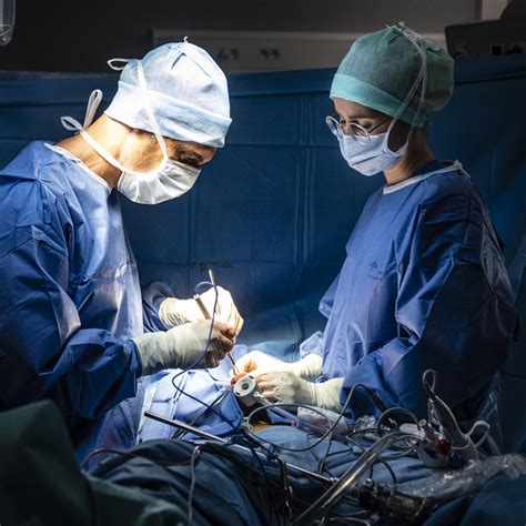 Chirurgie Viscérale Et Digestive – Centre Hospitalier De Pau