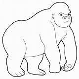Gorilla Drawing Easy Kids Coloring Drawings Paintingvalley Library Clipart Collection Comments sketch template