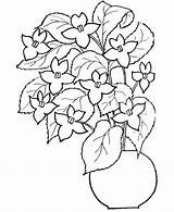 Kwiaty Kolorowanki Druku Darmowe Kwiatami sketch template