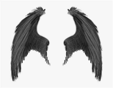 realistic demon wings png  transparent png  pngkey