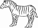 Zebra Coloring Pages Print Color Animals Animal Coloring4free Printable Zoo Sheets Clipart Kids Back sketch template