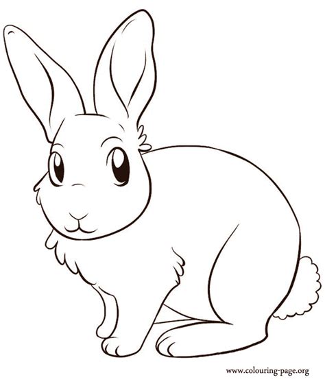 rabbit coloring pages  printable  coloring pages coloring home