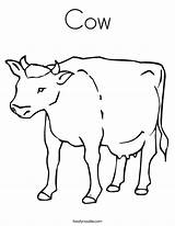 Cow Coloring Pages Kids Outline Printable Clipart Print Sheets Dairy Tracing Twistynoodle Built California Usa Library Noodle sketch template