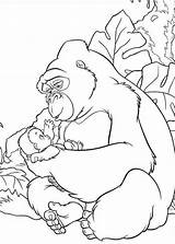 Gorilla Ausmalbilder Ausmalbild Coloring sketch template