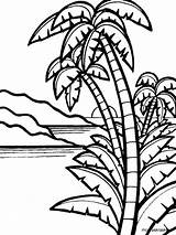 Palm Tree Coloring Pages Printable Color Trees Kids sketch template