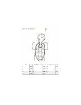 Abdominal Regions Cavities Body Activity Coloring Rating sketch template