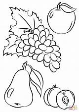 Coloring Fruits Autumn Fruit Pages Salad Fall Drawing Printable Colouring Color Print Tree Sheets Getdrawings Kids Vegetable Getcolorings Draw Prints sketch template