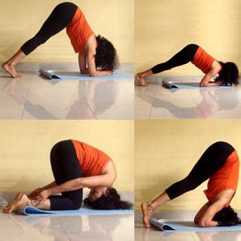 yoga poses     shape rediff getahead