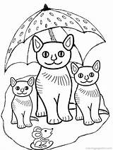 Coloring Kittens Three Little Pages Kitten Cats Popular sketch template