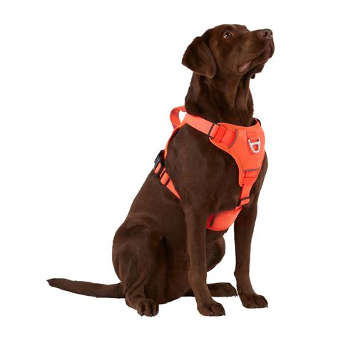arcadia trail neoprene dog harness reflective water resistant dog