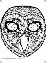 Coloring Mask Pages Owl sketch template