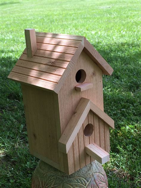 cool bird house plans pics home inspiration