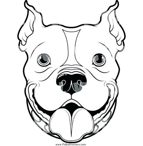 simple dog face drawing    clipartmag
