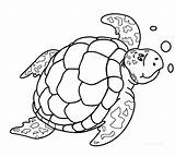 Turtle Sea Coloring Pages Baby Drawing Color Kids Printable Shell Colouring Getdrawings Cute Turtles Print Under Getcolorings Sheets Ocean Template sketch template