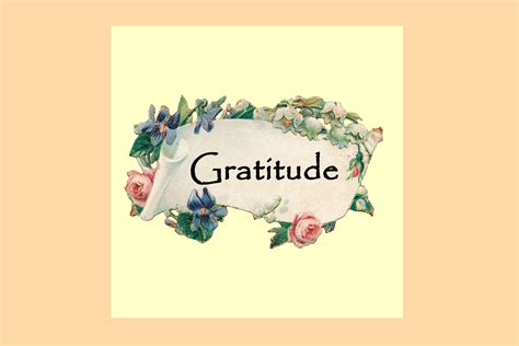 gratitude  reasons     grateful