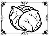 Lettuce Coloring Printable Pages Template Getdrawings Getcolorings Color sketch template