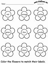 Worksheets Color Colors Preschool Flowers Printable Review Worksheet Kindergarten Nursery Activity Coloring Activities Practice Learning Recognition Pages Ws Kidzone sketch template
