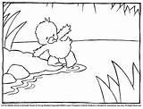 Coloring Puddle Duck Duckling Drawn Getcolorings Color Getdrawings sketch template