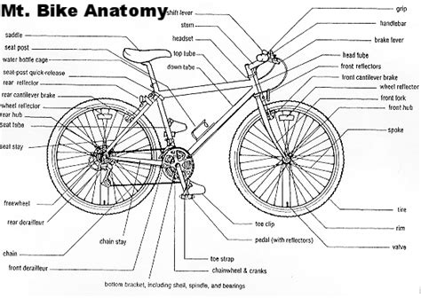 mt bike anatomy mountain biking hybrid bike bike