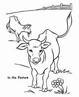 Pasture Coloring Cow Netart sketch template