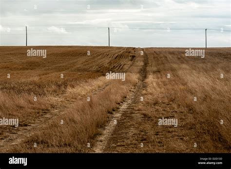 track road   priarie  eatern montana usa stock photo