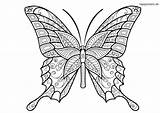 Schmetterling Ausmalbild Ausdrucken Malvorlage Waldtiere sketch template