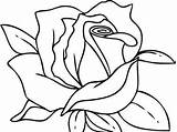 Rosas Riscos Fazer Artesanato Artigo sketch template