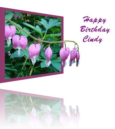 happy birthday cindy     wishes