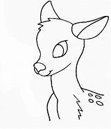 Deer Coloring Head Pages Drawing Easy Outline Colouring Animals Face Buck Enjoyable Leisure Totally Activity Time Simple Sheets Print Getdrawings sketch template