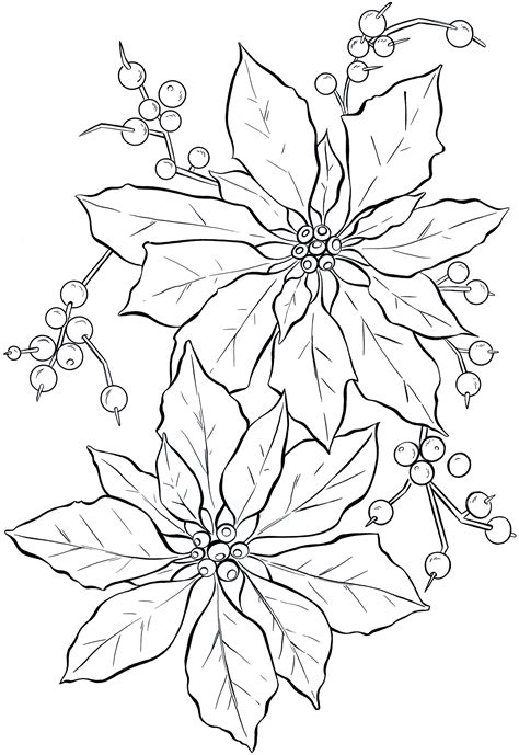 printable poinsettia coloring pages  kids