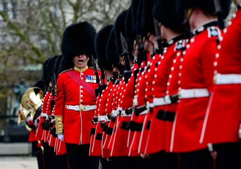 grenadier guards inspected  duty  british army