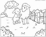 Pecore Ovejas Schafe Lamm Cordero Agnello Stampare Cabras Cordeiro Moutons Colorkid Owce Agneaux Carneiros Capre Kolorowanki Owiec Ziegen Ovinos Caprinos sketch template