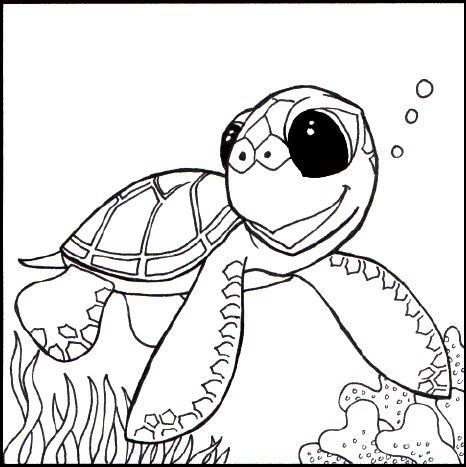 baby turtle coloring pages coloring pinterest coloring creative
