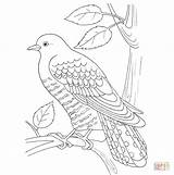 Cuckoo Baum Ausmalbild sketch template