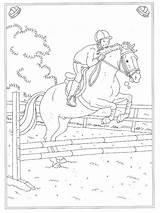 Springen Paard Kleurplaat Jumping Kleurplaten Ausmalbild Paarden Pferd Leukekleurplaten Springendes Malvorlage Ausdrucken Coloringpage Besteausmalbilder Horses sketch template