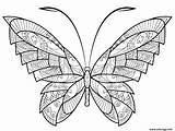 Zentangle Papillon Jolis Motifs sketch template