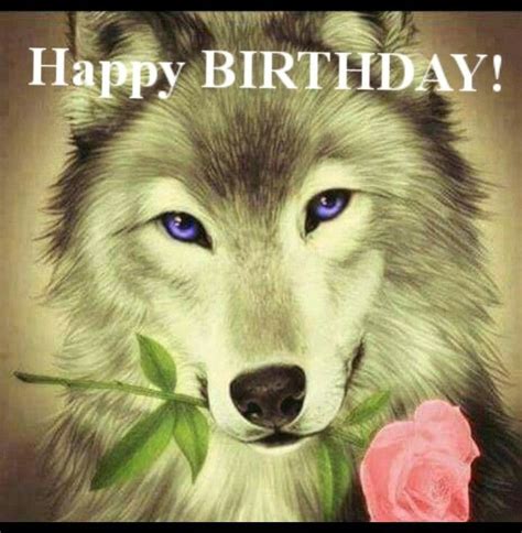 pin  alina elina  happy birthday happy birthday wolf happy